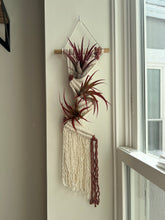 Load image into Gallery viewer, Air Plant Pocket Hanger