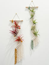 Load image into Gallery viewer, Air Plant Pocket Hanger
