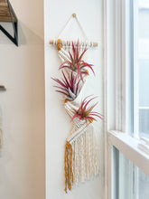 Load image into Gallery viewer, Air Plant Pocket Hanger
