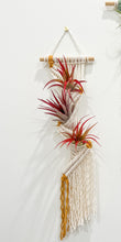 Load image into Gallery viewer, Air Plant Pocket Hanger