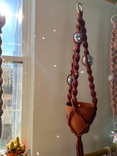 Load image into Gallery viewer, Disco Plant Hanger