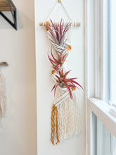 Load image into Gallery viewer, Air Plant Pocket Hanger