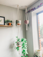 Load image into Gallery viewer, The Minimalist