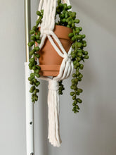 Load image into Gallery viewer, Mini Beaded Plant Hanger

