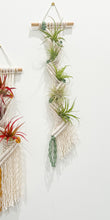 Load image into Gallery viewer, Air Plant Pocket Hanger
