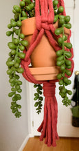 Load image into Gallery viewer, Mini Beaded Plant Hanger
